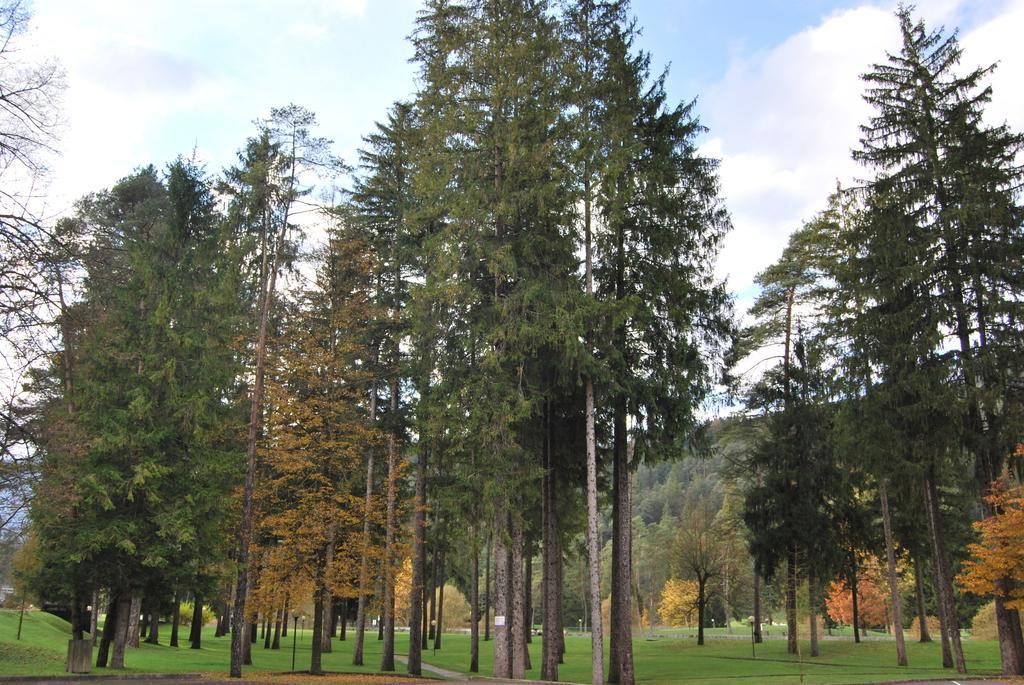 Residenza Finestra Sul Parco Apartment Comano Terme Bagian luar foto